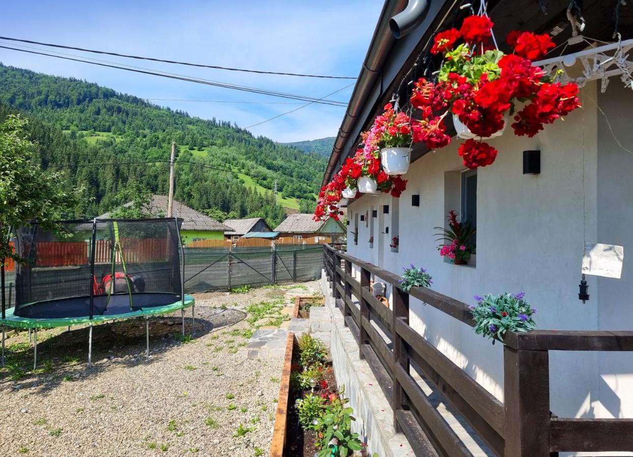 Casuta De Vacanta Poiana Poiana Teiului Extérieur photo